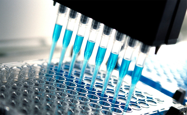 MTT/CCK8细胞毒性实验